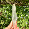 Lemurian Quartz Crystal