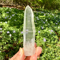 Lemurian Quartz Crystal