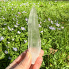 Lemurian Quartz Crystal