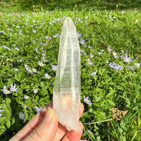 Lemurian Quartz Crystal