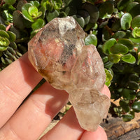 Elestial Smoky Quartz Crystal