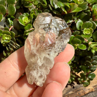 Elestial Smoky Quartz Crystal