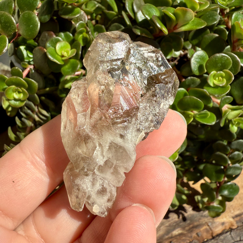Elestial Smoky Quartz Crystal