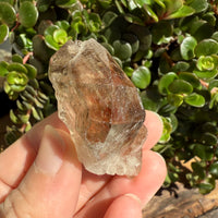 Elestial Smoky Quartz Crystal