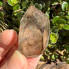 Elestial Smoky Quartz Crystal
