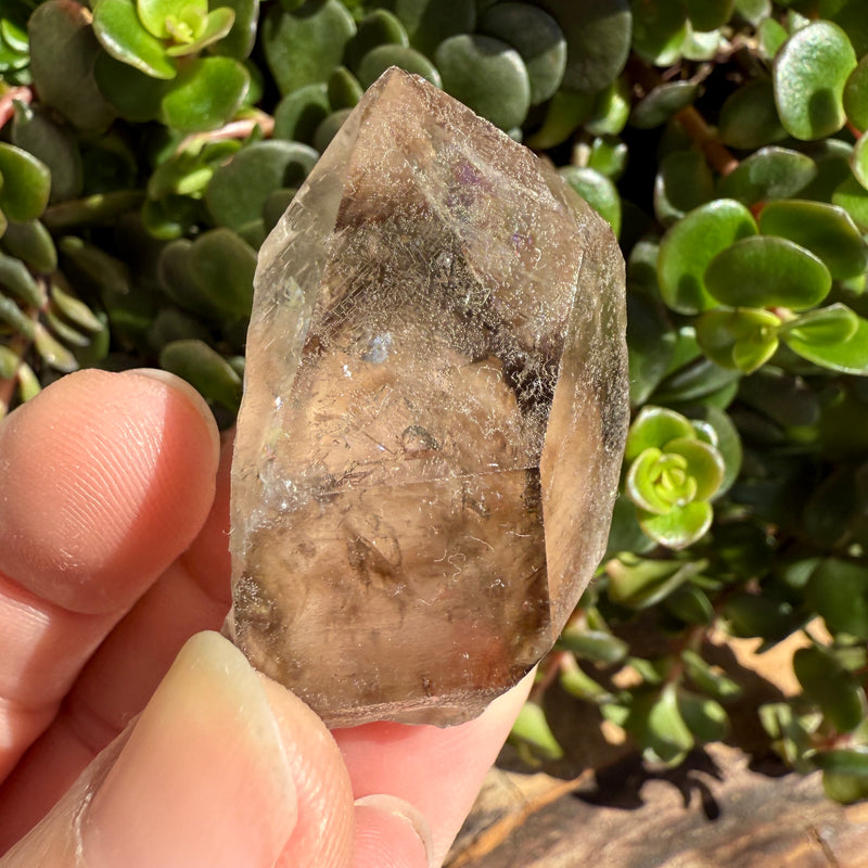 Elestial Smoky Quartz Crystal