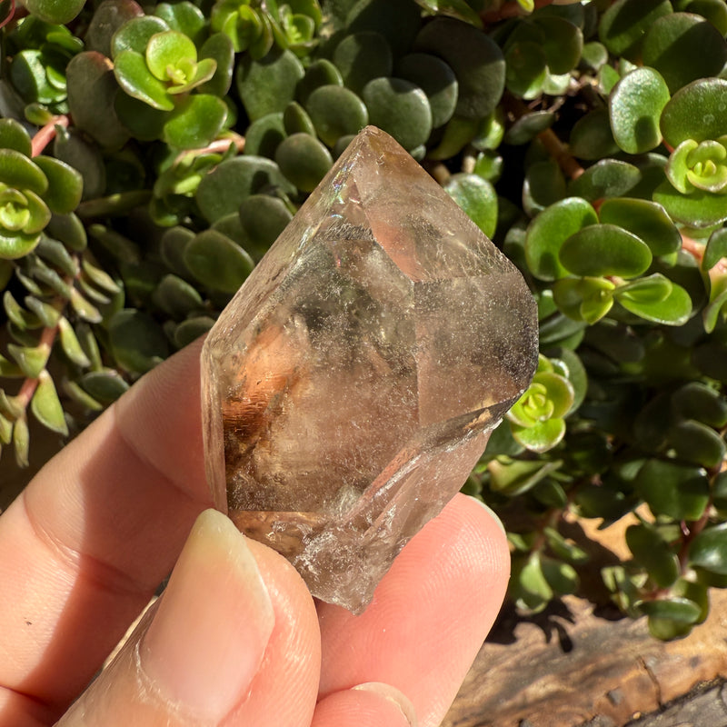 Elestial Smoky Quartz Crystal