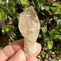 Elestial Smoky Quartz Sceptre Crystal