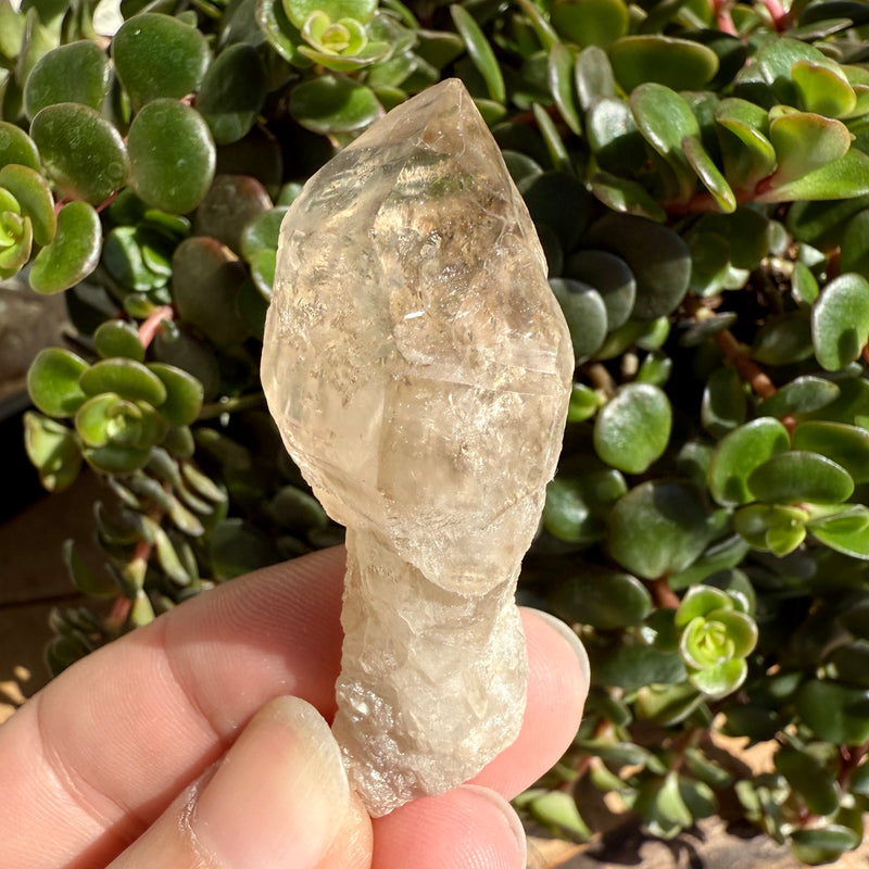Elestial Smoky Quartz Sceptre Crystal