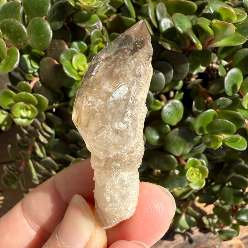 Elestial Smoky Quartz Sceptre Crystal
