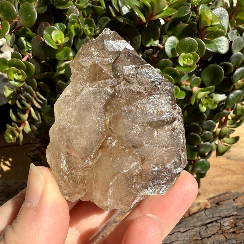 Elestial Smoky Quartz Crystal