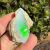 Opal - 58 Carats Natural Rough