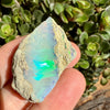 Opal - 58 Carats Natural Rough
