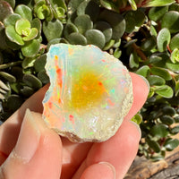 Opal - 43 Carats Natural Rough