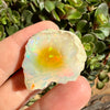 Opal - 43 Carats Natural Rough