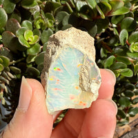 Opal - 49 Carats Natural Rough
