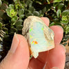 Opal - 49 Carats Natural Rough
