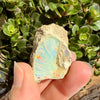 Opal - 49 Carats Natural Rough