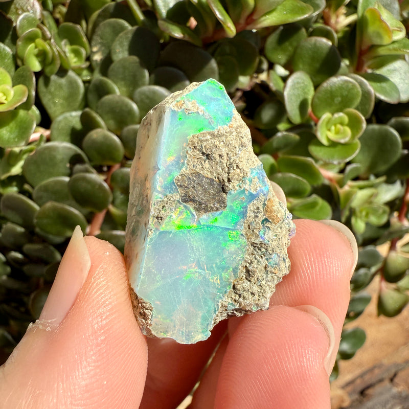 Opal - 36 Carats Natural Rough
