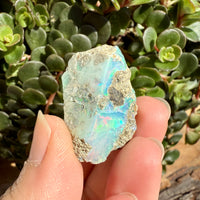 Opal - 36 Carats Natural Rough