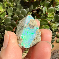 Opal - 36 Carats Natural Rough