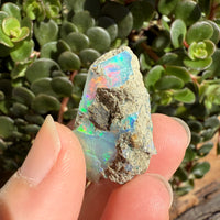 Opal - 36 Carats Natural Rough