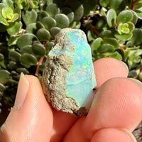 Opal - 36 Carats Natural Rough