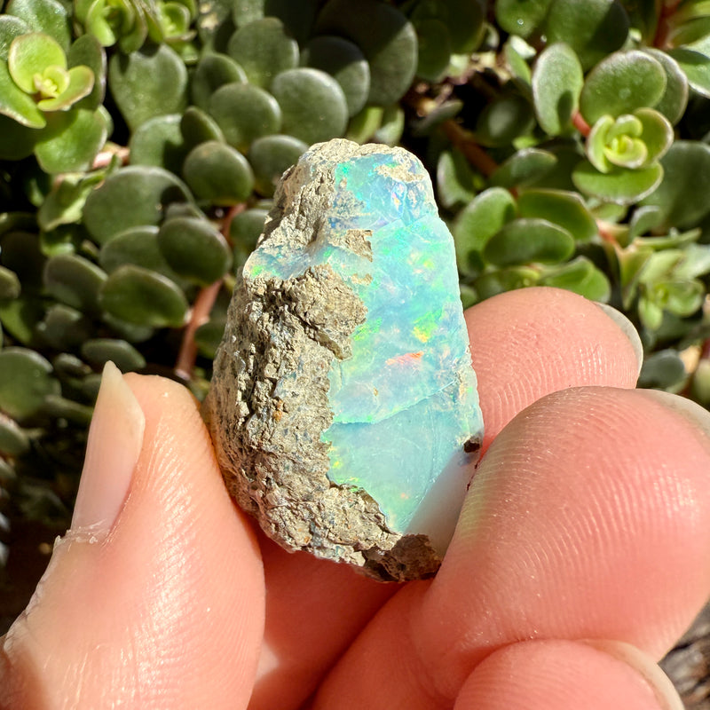 Opal - 36 Carats Natural Rough
