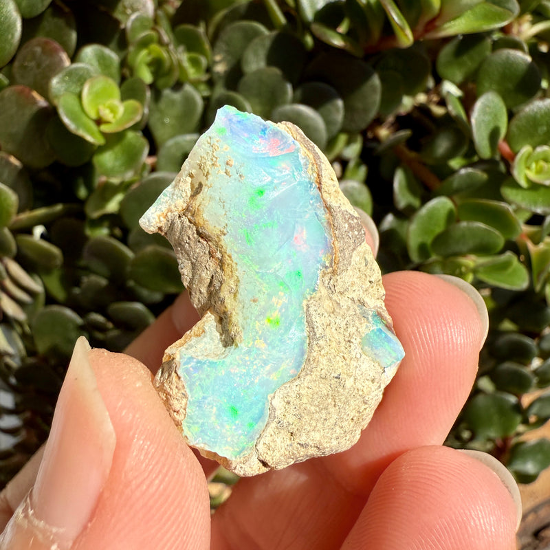 Opal - 36 Carats Natural Rough