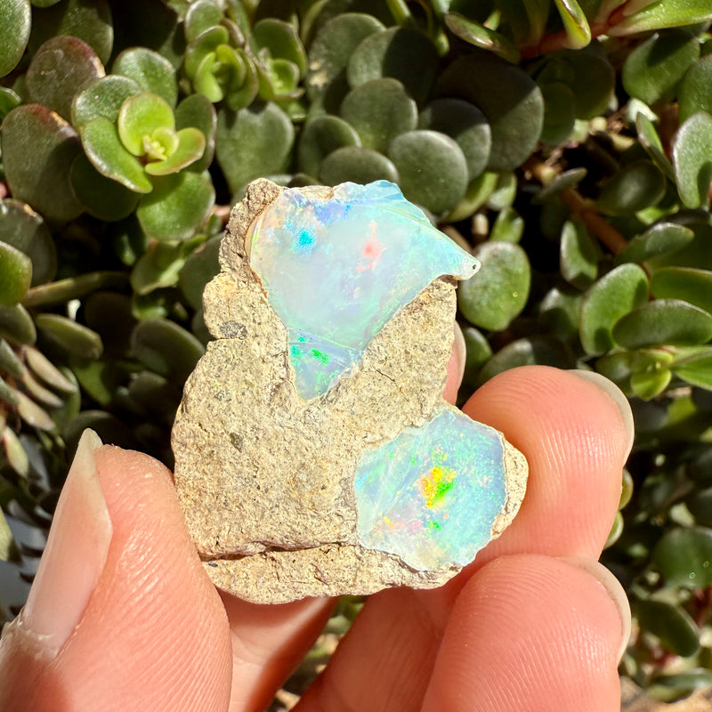 Opal - 36 Carats Natural Rough