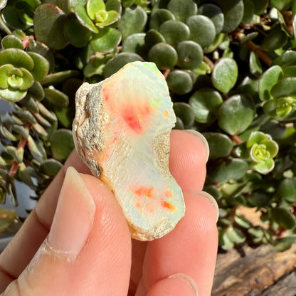 Opal - 39 Carats Natural Rough