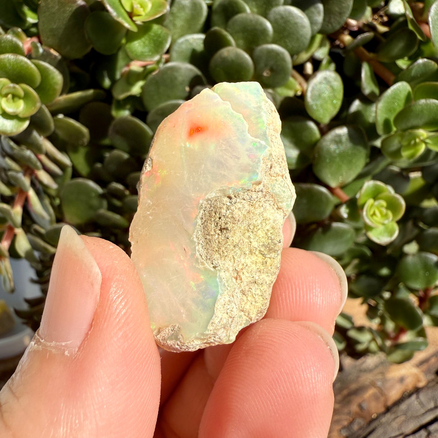 Opal - 39 Carats Natural Rough