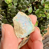 Opal - 31 Carats Natural Rough