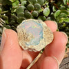 Opal - 31 Carats Natural Rough