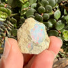 Opal - 31 Carats Natural Rough