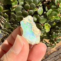 Opal - 29.7 Carats Natural Rough