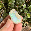 Opal - 29.7 Carats Natural Rough