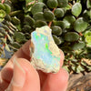 Opal - 29.7 Carats Natural Rough