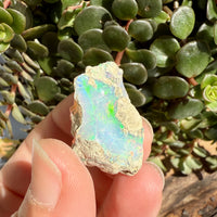Opal - 29.7 Carats Natural Rough