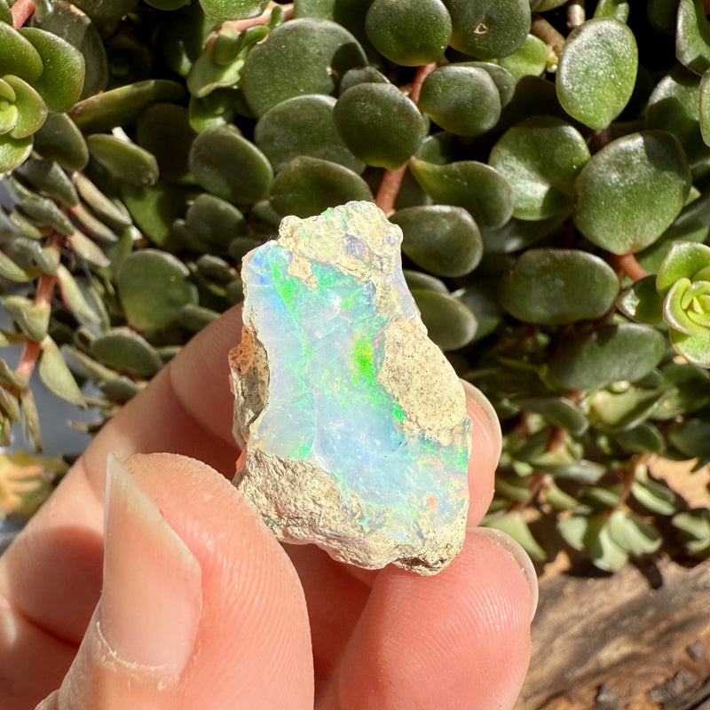 Opal - 29.7 Carats Natural Rough