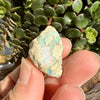 Opal - 29.7 Carats Natural Rough