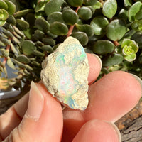 Opal - 29.7 Carats Natural Rough