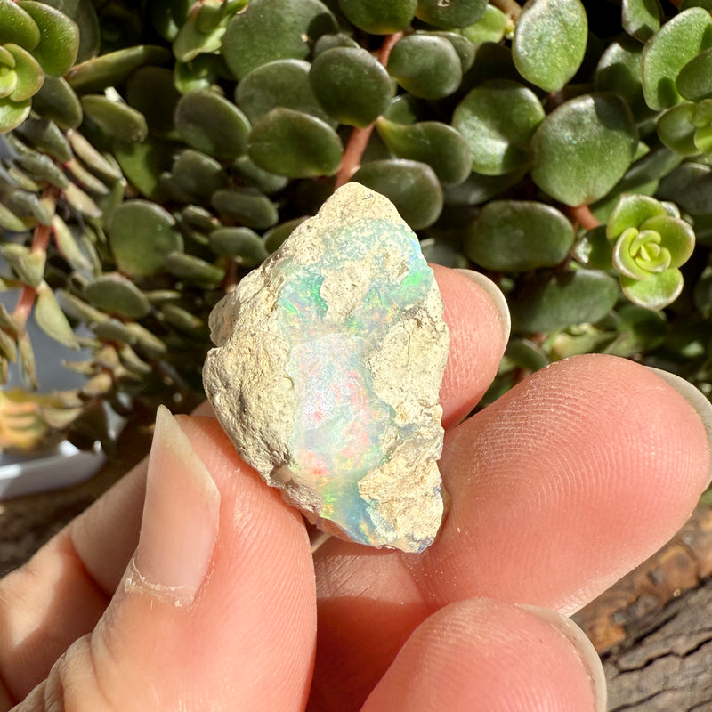 Opal - 29.7 Carats Natural Rough