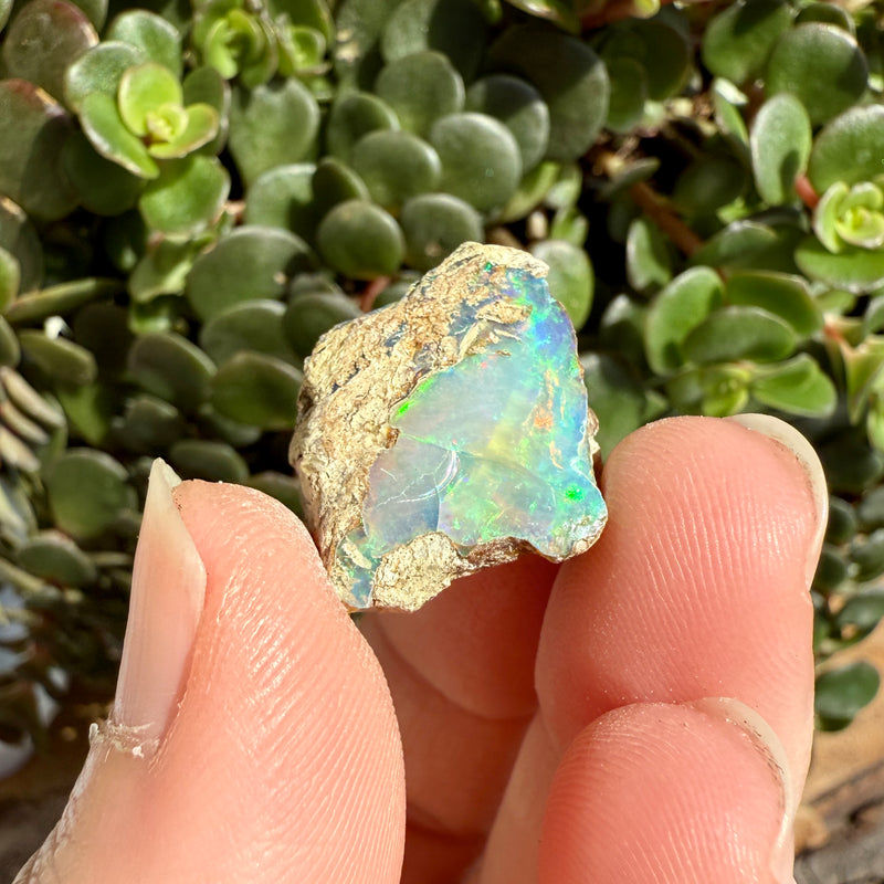 Opal - 15 Carats Natural Rough