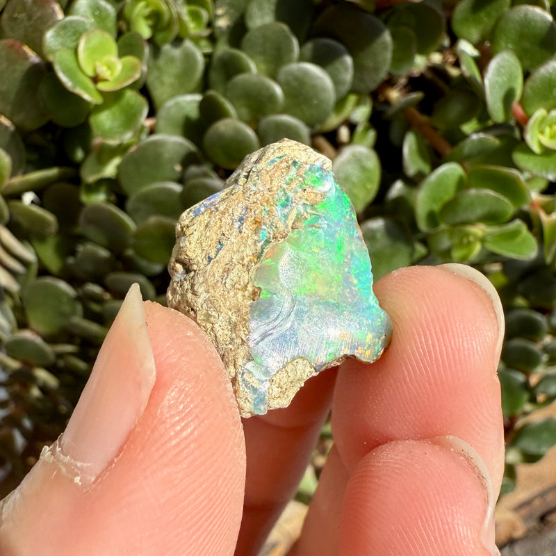 Opal - 15 Carats Natural Rough