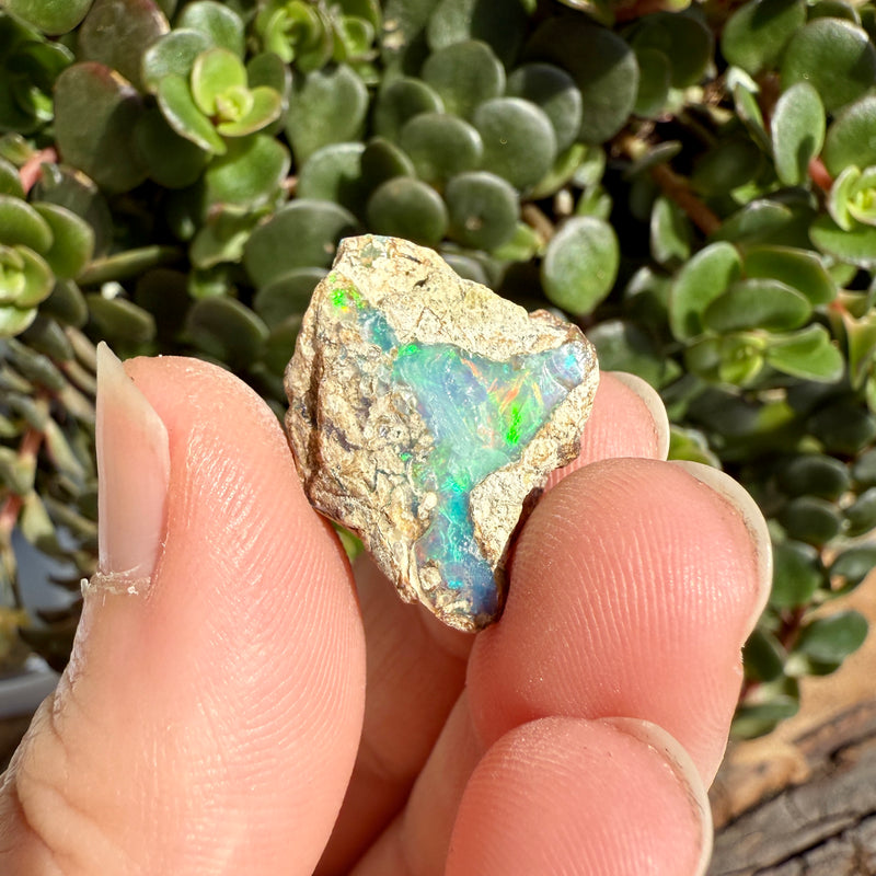 Opal - 15 Carats Natural Rough