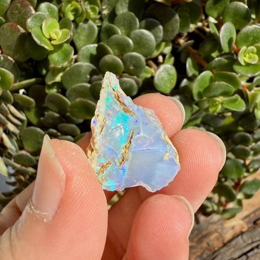 Opal - 12.5 Carats Natural Rough
