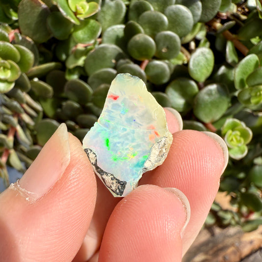 Opal - 6.7 Carats Natural Rough