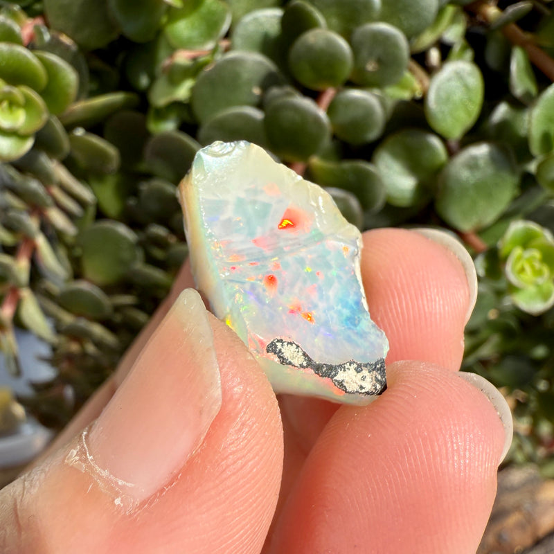 Opal - 14 Carats Natural Rough