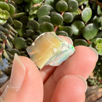 Opal - 14 Carats Natural Rough